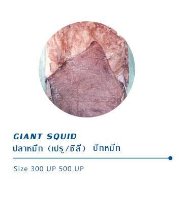 giantsquid-1